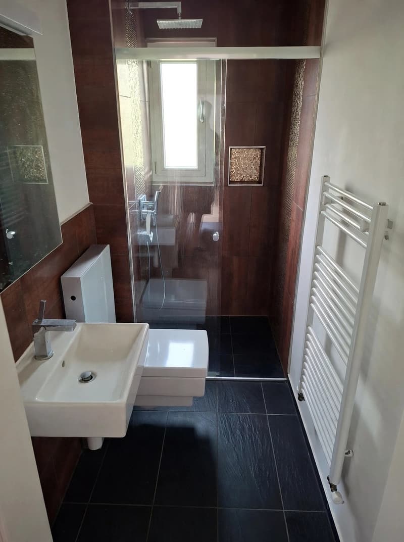 Nice Room in Quiet House with Garden - 2 min from Oerlikon Station + Parking (5)
