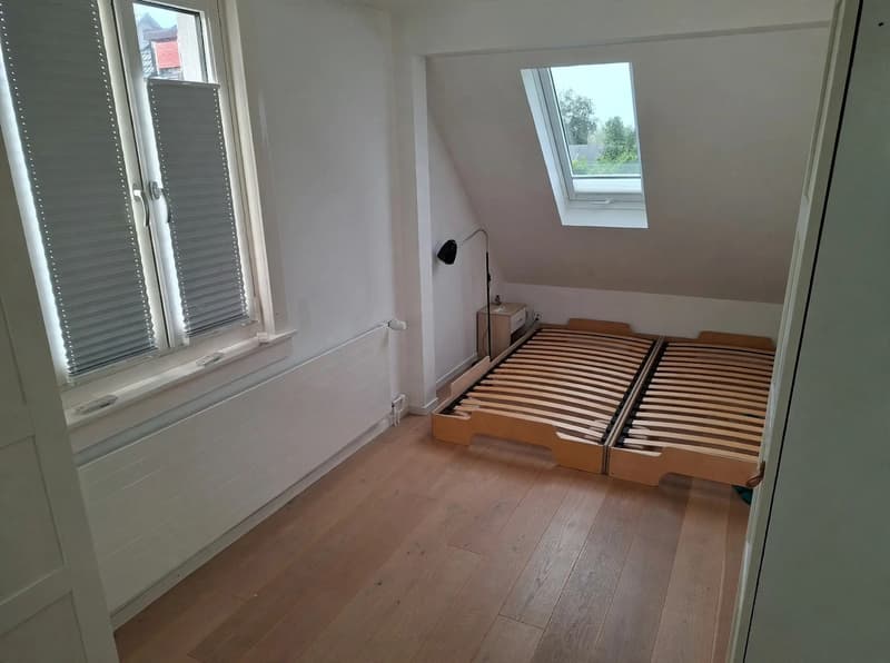 Nice Room in Quiet House with Garden - 2 min from Oerlikon Station + Parking (1)