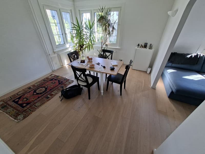 Nice Room in Quiet House with Garden - 2 min from Oerlikon Station + Parking (7)