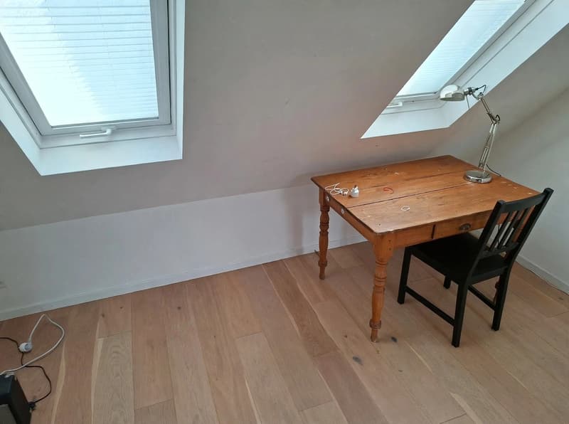 Nice Room in Quiet House with Garden - 2 min from Oerlikon Station + Parking (2)