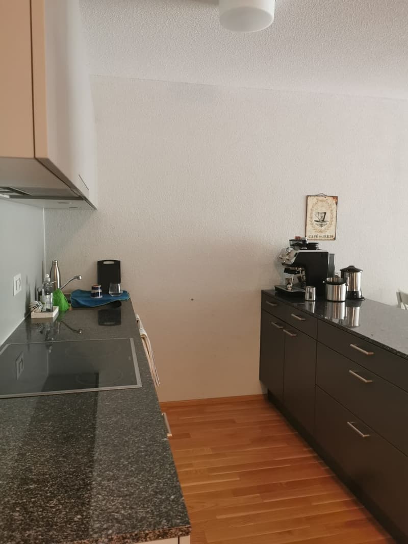 2.5-Zimmer-Wohnung zur Untermiete (2)