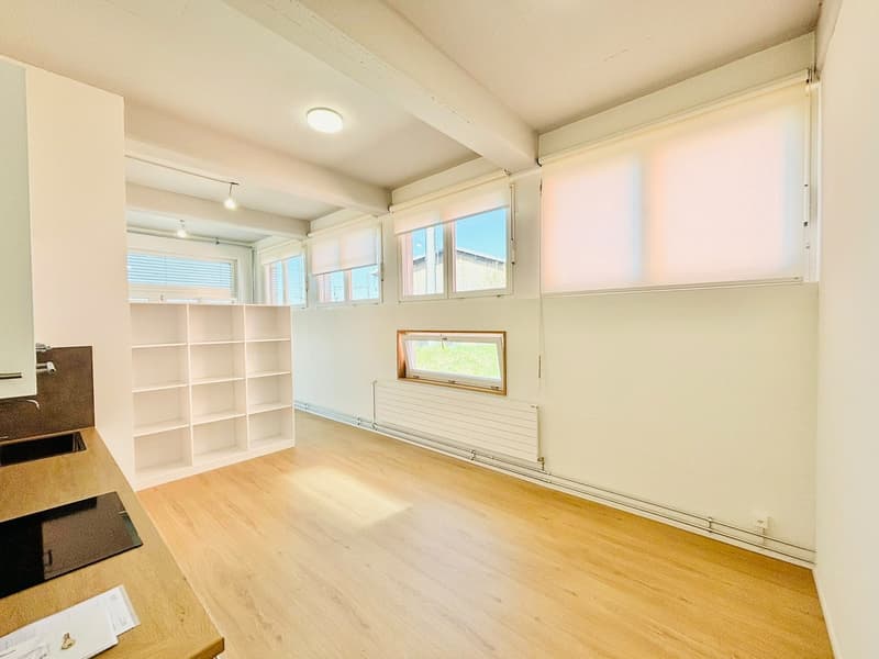 1.5 room apartment in Wetzikon (4)