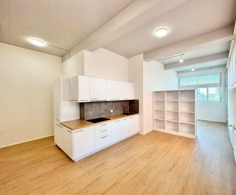 1.5 room apartment in Wetzikon (1)
