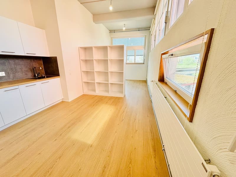 1.5 room apartment in Wetzikon (3)