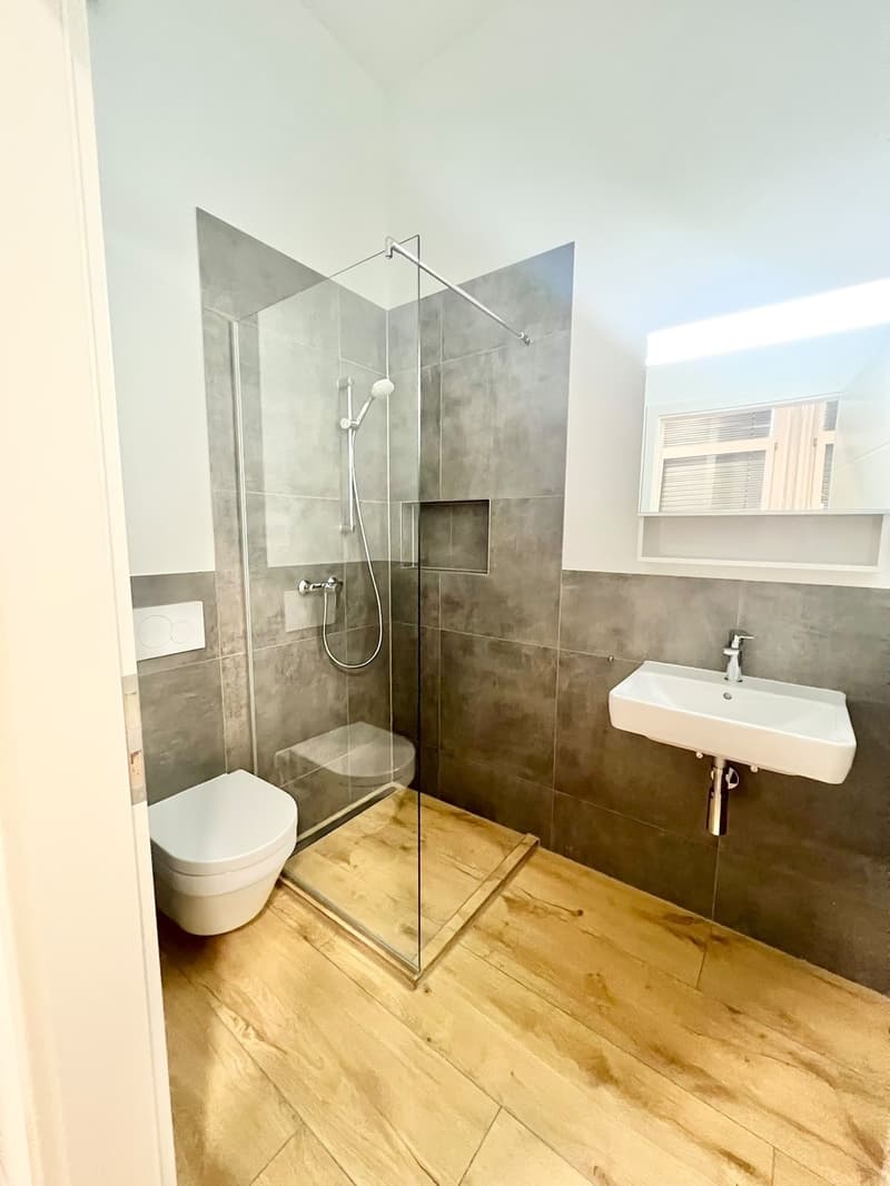 1.5 room apartment in Wetzikon (2)