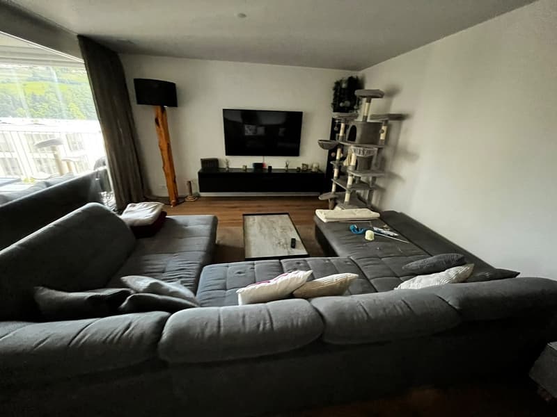 Tenant wanted from September 1, 2026 (7)