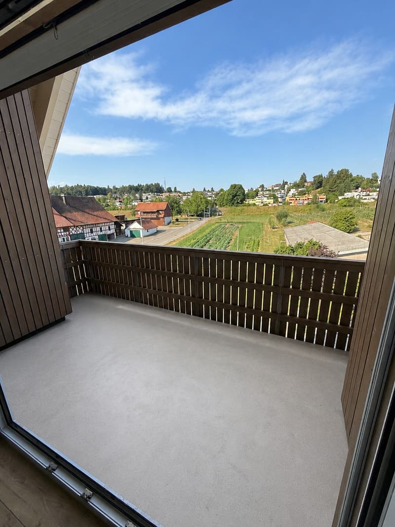 Appartement en mansarde lumineux avec grand balcon et équipements modernes (3)