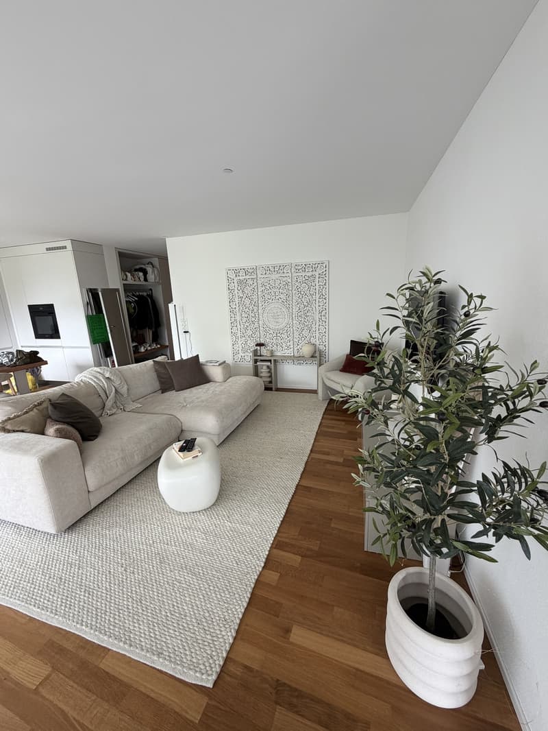 Appartamento moderno 2.5 locali con orientamento a sud direttamente sul lago di Zurigo (8)