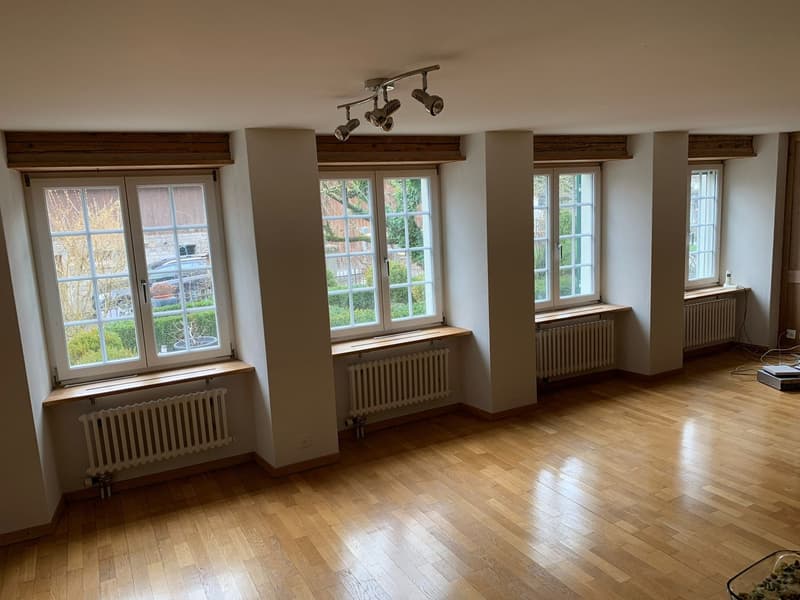 Cercasi inquilino per appartamento di 2,5 locali (2)