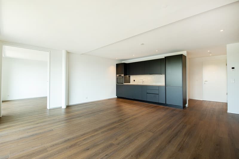Apartment 2 ½ rooms, 8330 PFÄFFIKON ZH (1)
