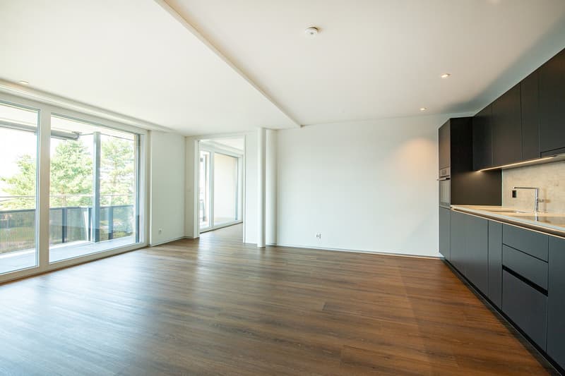 Apartment 2 ½ rooms, 8330 PFÄFFIKON ZH (3)