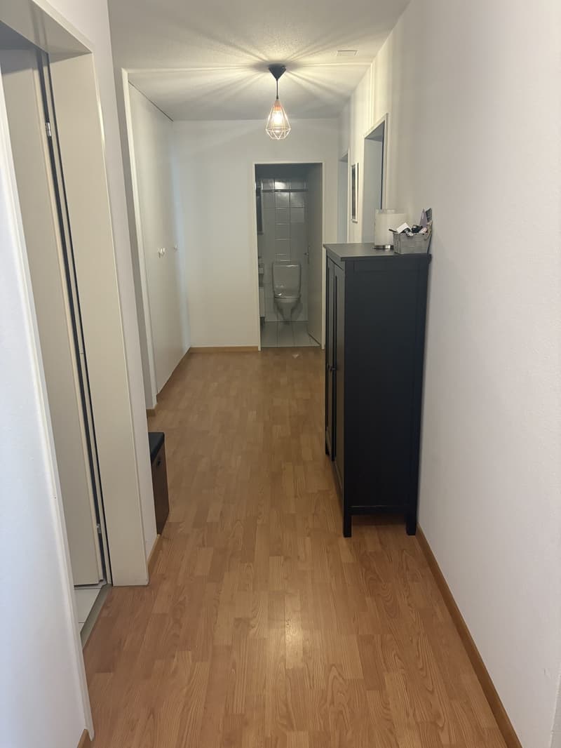 3 ½ rooms apartment, 8003 Zurich (2)