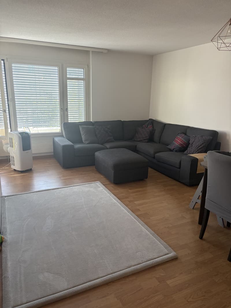 3 ½ rooms apartment, 8003 Zurich (1)