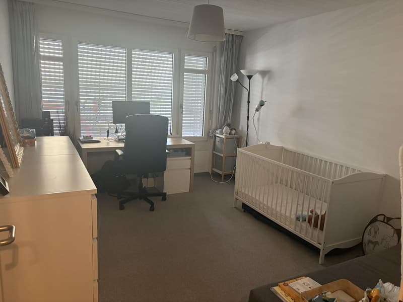 3 ½ rooms apartment, 8003 Zurich (4)