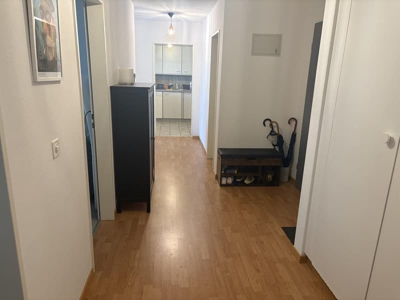 3 ½ rooms apartment, 8003 Zurich (3)