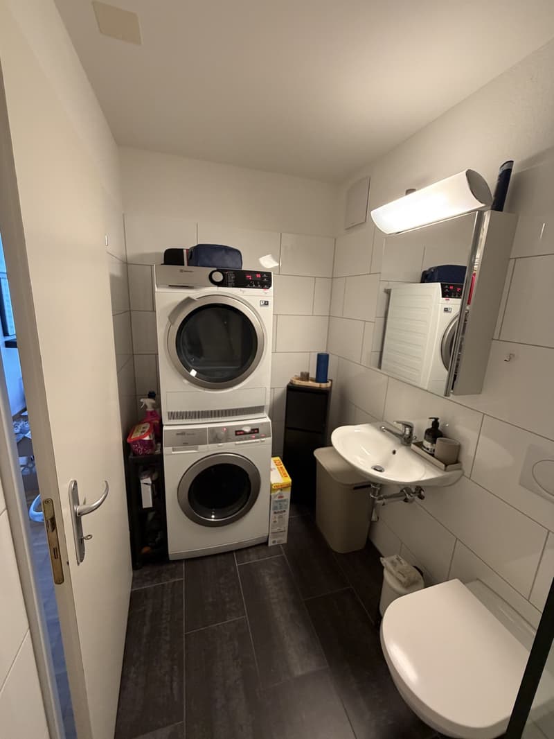 Tenant wanted from September 15th. (4)