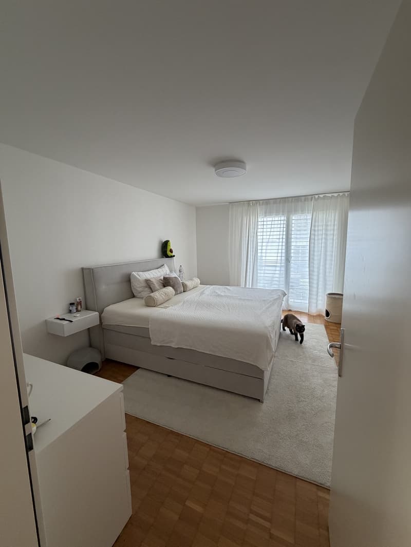 Tenant wanted from September 15th. (8)