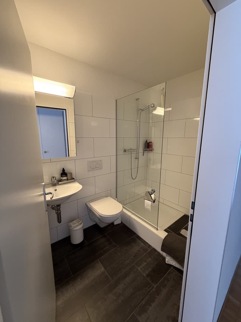 Tenant wanted from September 15th. (5)