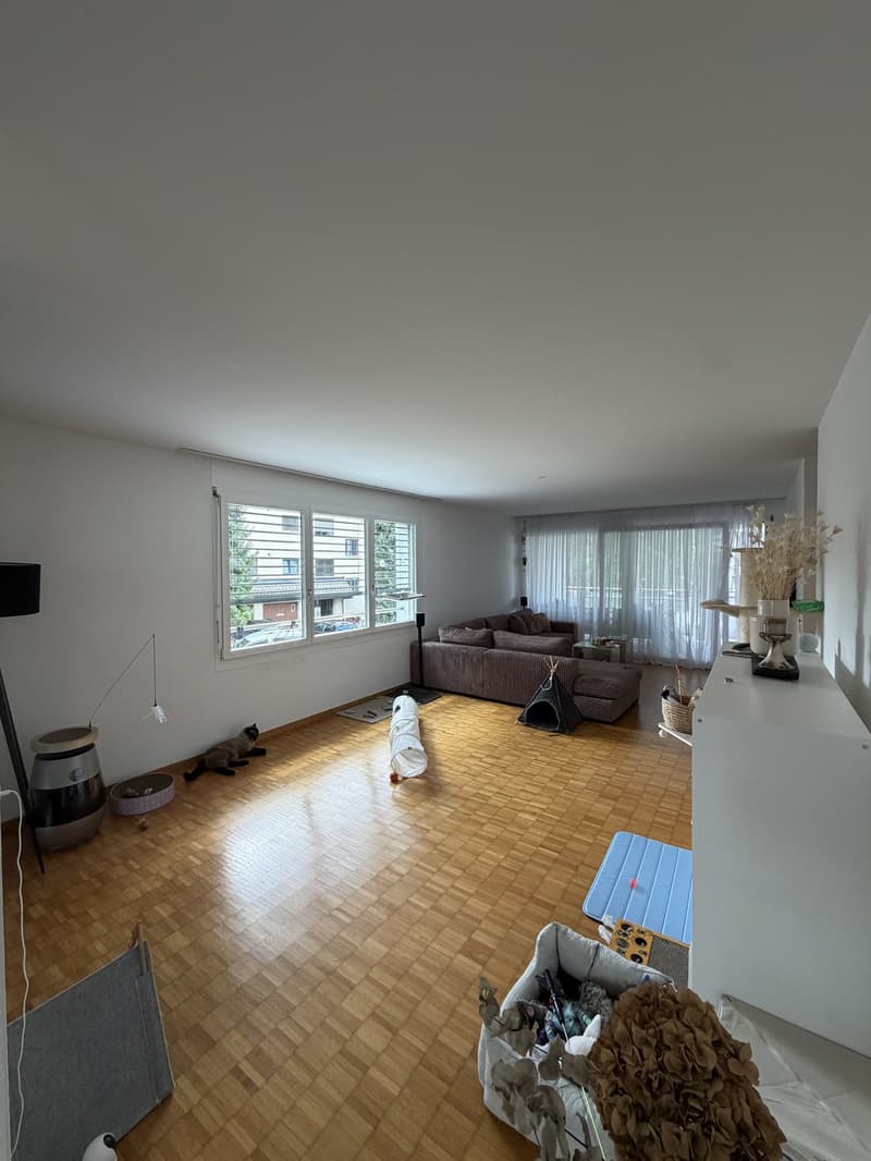 Tenant wanted from September 15th. (7)