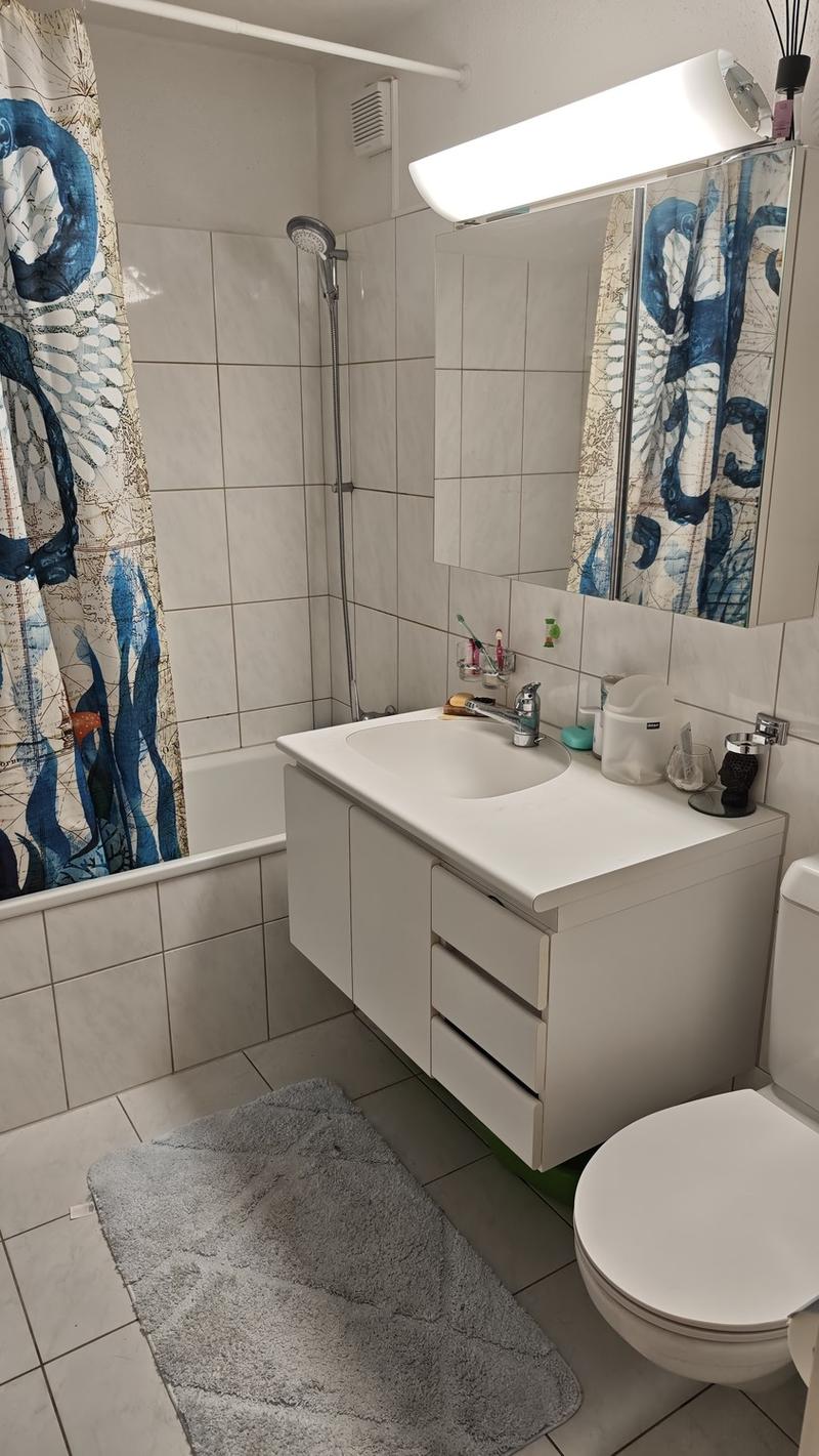 Locataire pour appartement 4.5 pièces à Schwerzenbach (6)
