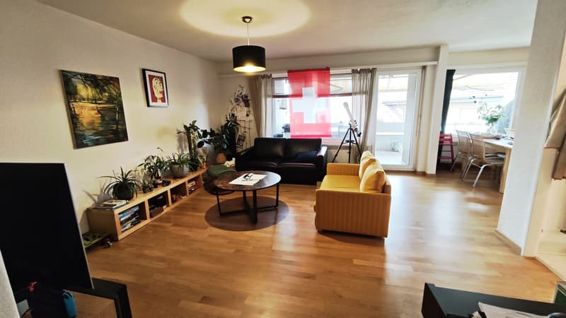 Locataire pour appartement 4.5 pièces à Schwerzenbach (1)