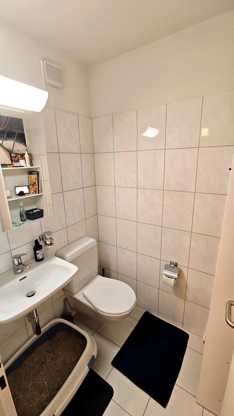 Locataire pour appartement 4.5 pièces à Schwerzenbach (8)