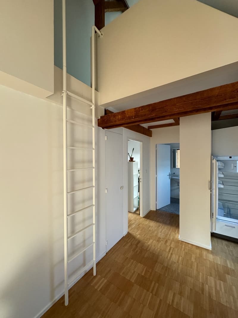 3.5-Zi-Dachwohnung Maisonette Kreis 6 Milchbuck Irchelpark inkl. Parkplatz (9)
