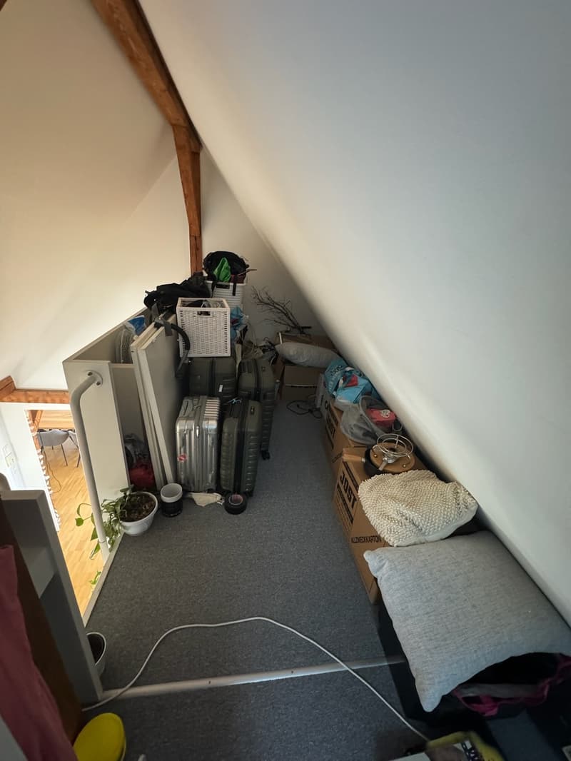 3.5-Zi-Dachwohnung Maisonette Kreis 6 Milchbuck Irchelpark inkl. Parkplatz (11)