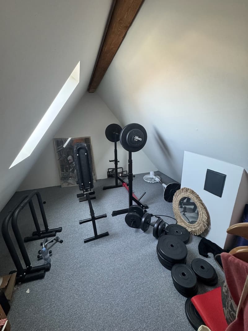 3.5-Zi-Dachwohnung Maisonette Kreis 6 Milchbuck Irchelpark inkl. Parkplatz (10)