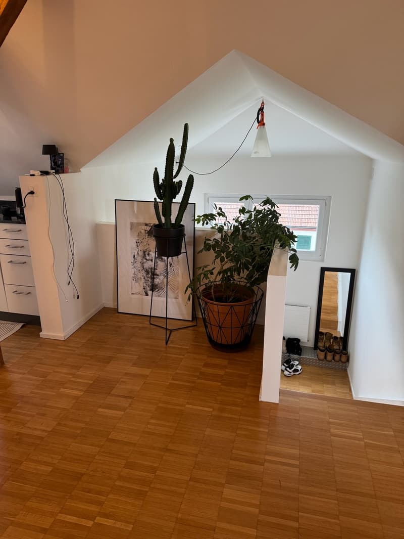 3.5-Zi-Dachwohnung Maisonette Kreis 6 Milchbuck Irchelpark inkl. Parkplatz (12)