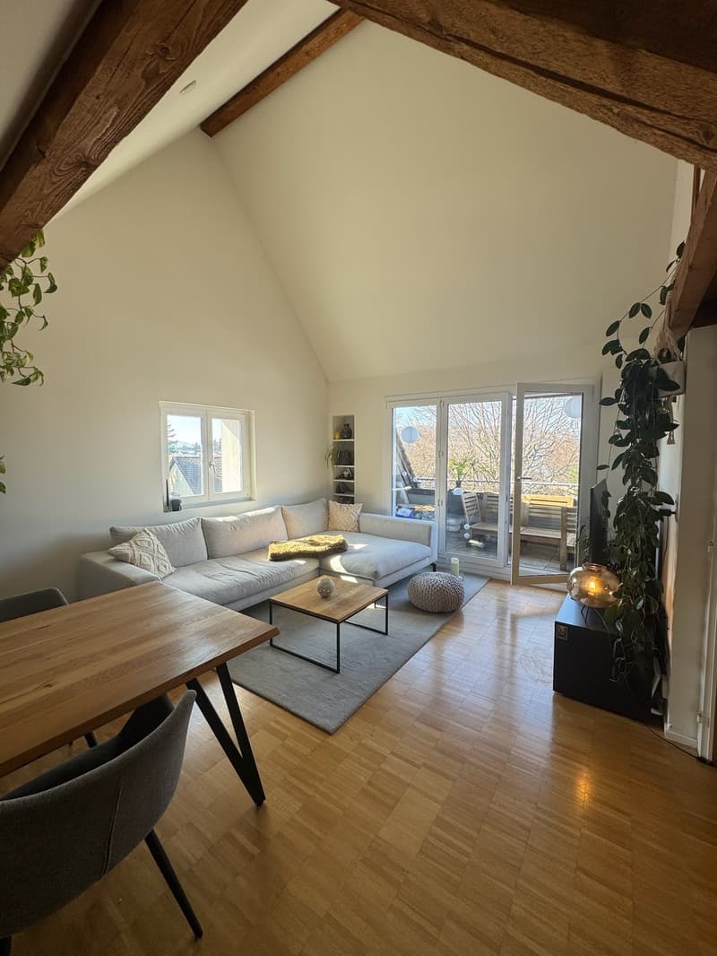 3.5-Zi-Dachwohnung Maisonette Kreis 6 Milchbuck Irchelpark inkl. Parkplatz (1)