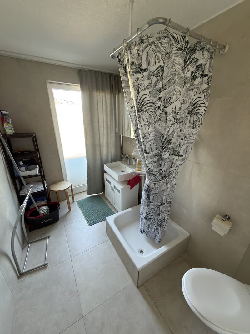 2 ½ Zimmer-Wohnung, 8057 Zürich (9)