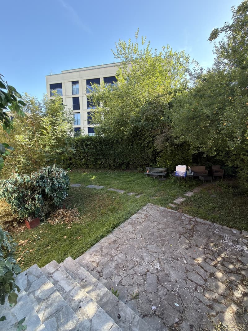 2 ½ Zimmer-Wohnung, 8057 Zürich (5)