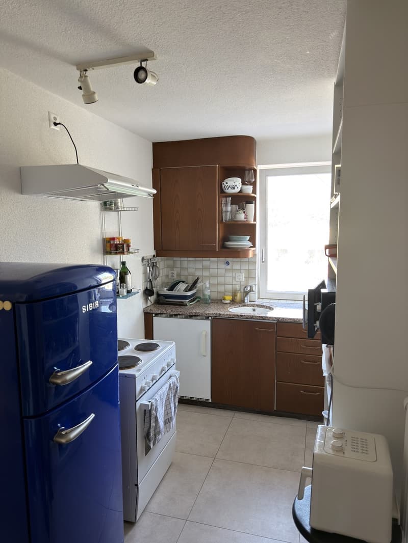 2 ½ Zimmer-Wohnung, 8057 Zürich (8)