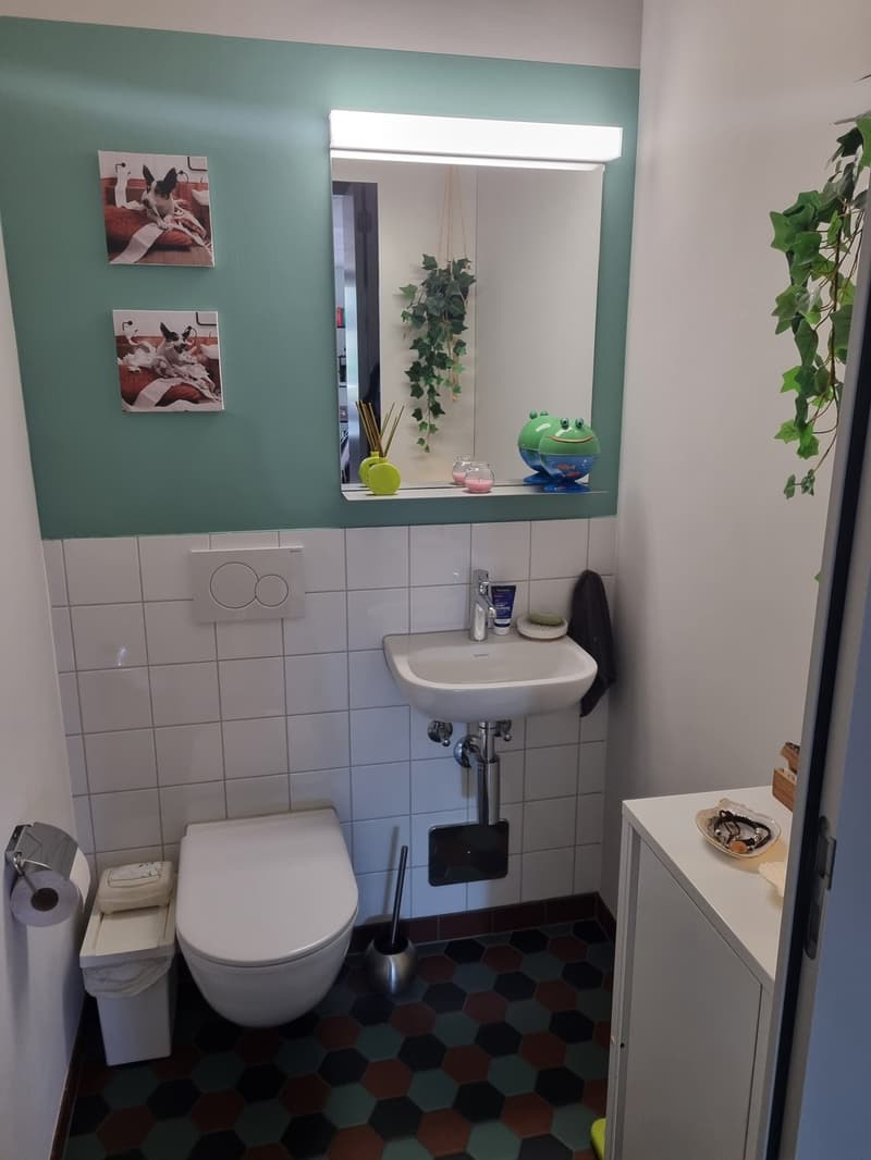 Befristete Vermietung (01.09.202612.10.2026) in Wipkingen (4)