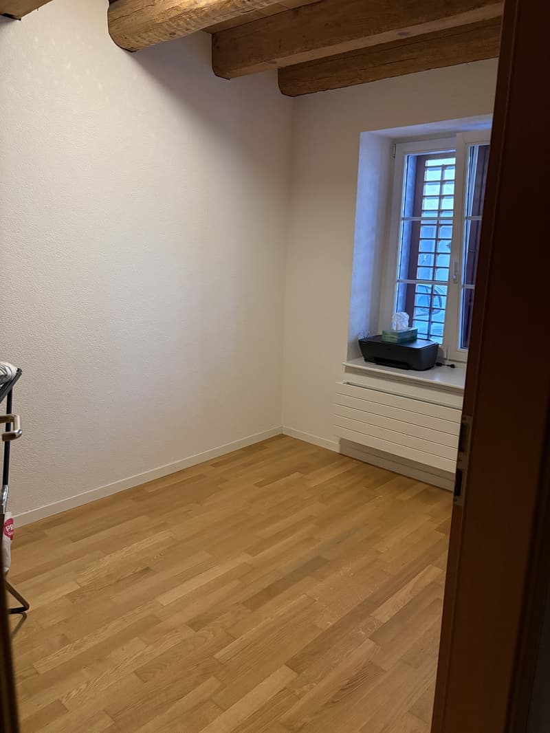 3.5-Room Apartment (4)