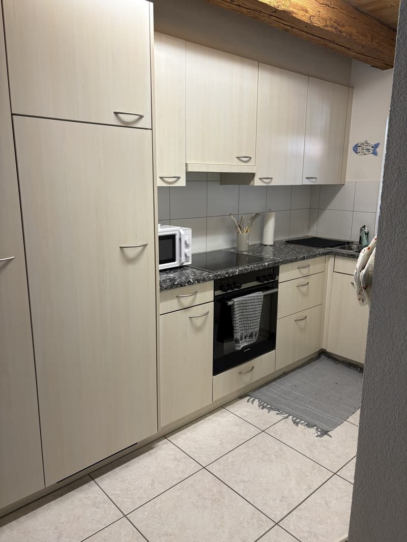3.5-Room Apartment (1)