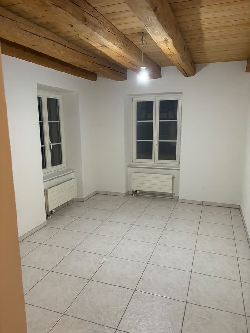 3.5-Room Apartment (3)