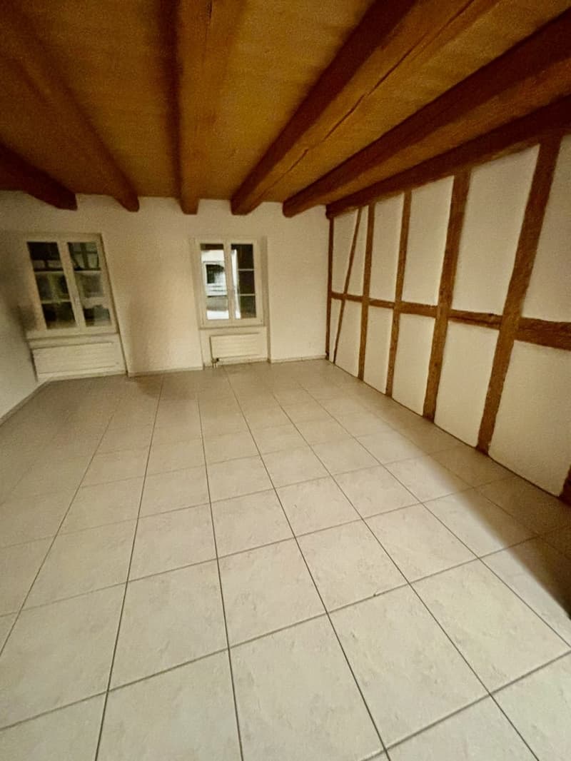 3.5-Room Apartment (2)
