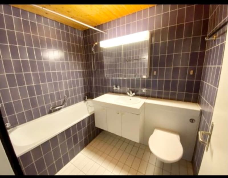 Angenehme 2.5 Zimmerwohnung im Breitenrain (4)