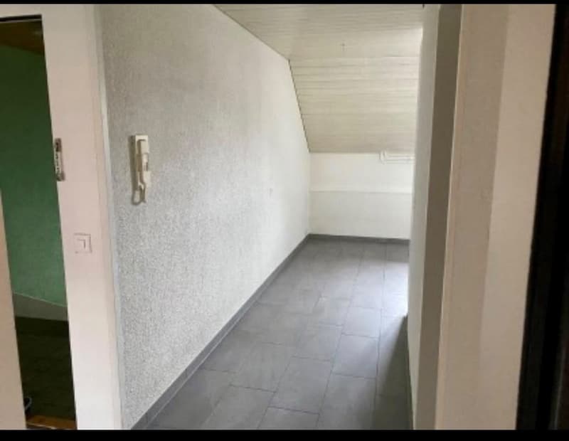 Angenehme 2.5 Zimmerwohnung im Breitenrain (1)