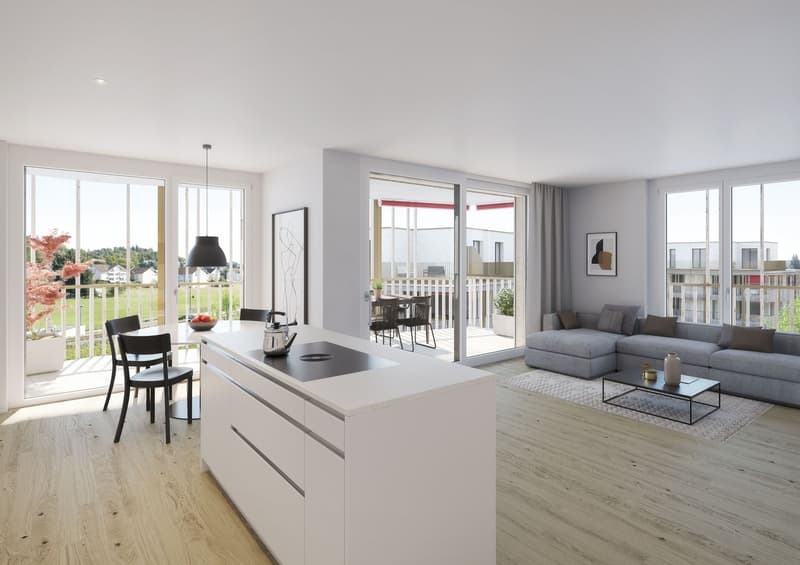Dernière chance ! Recherche de sous-locataire ! Première occupation d'un appartement de 3,5 pièces dans un immeuble neuf à Küngoldingen (1)