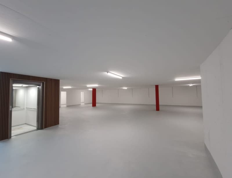 Moderne 3.5-Zimmer-Wohnung in Menziken (8)