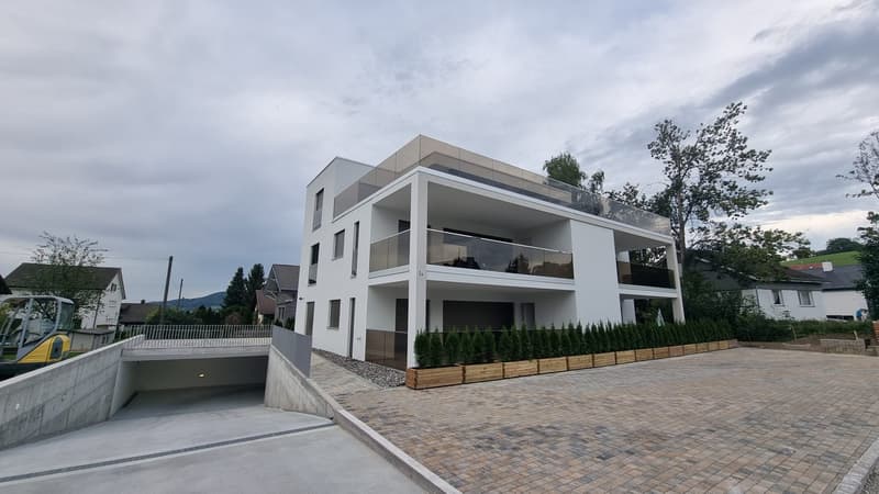 Moderne 3.5-Zimmer-Wohnung in Menziken (2)