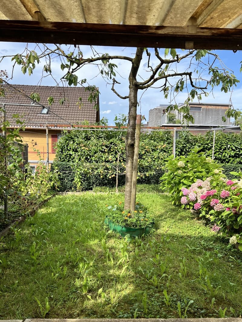 Tenant wanted for 3-room apartment (12)