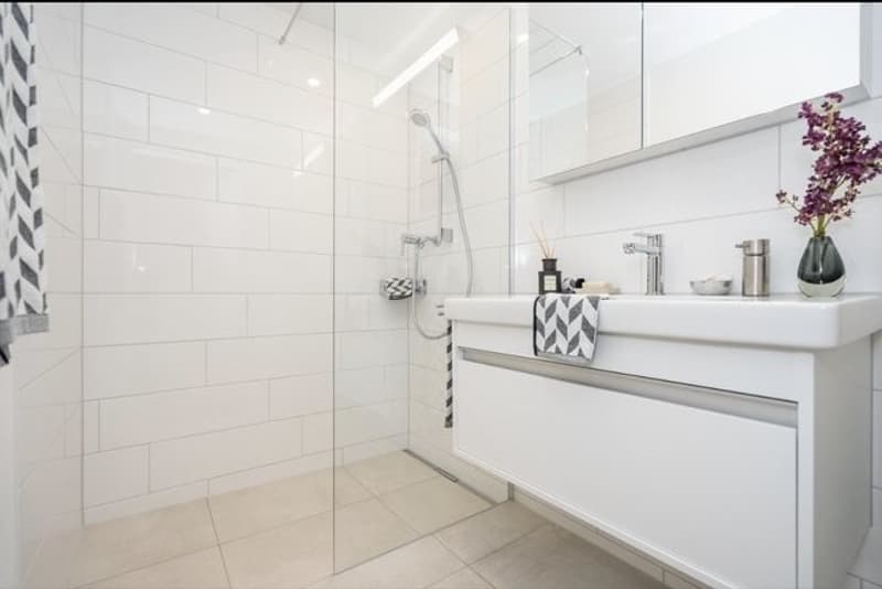 Sunny 2.5 room apartment in district 2 (7)