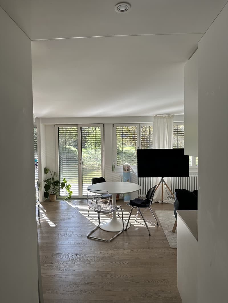 Sunny 2.5 room apartment in district 2 (5)