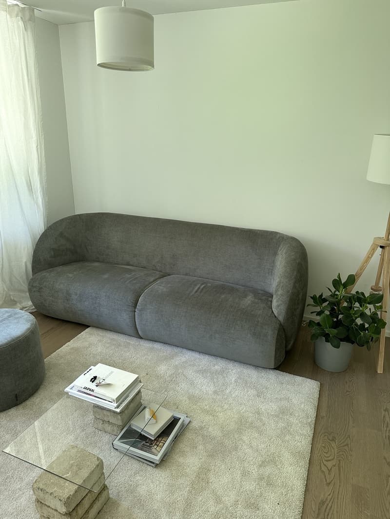 Sunny 2.5 room apartment in district 2 (6)