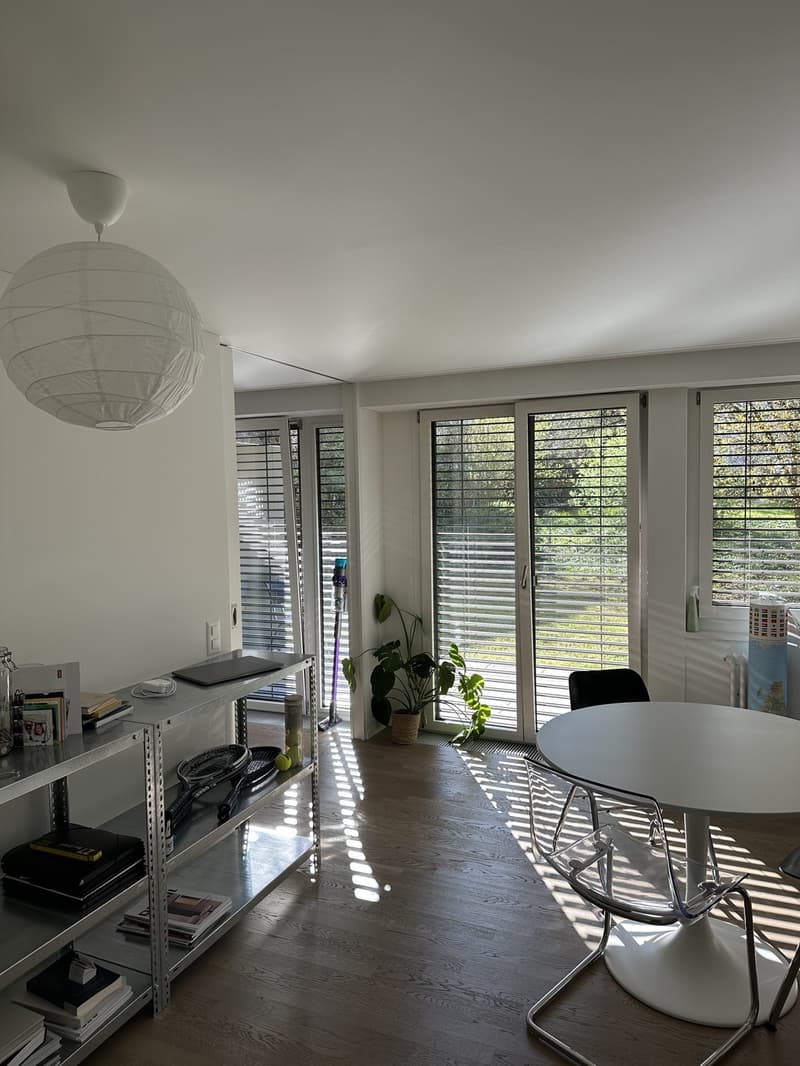 Sunny 2.5 room apartment in district 2 (4)