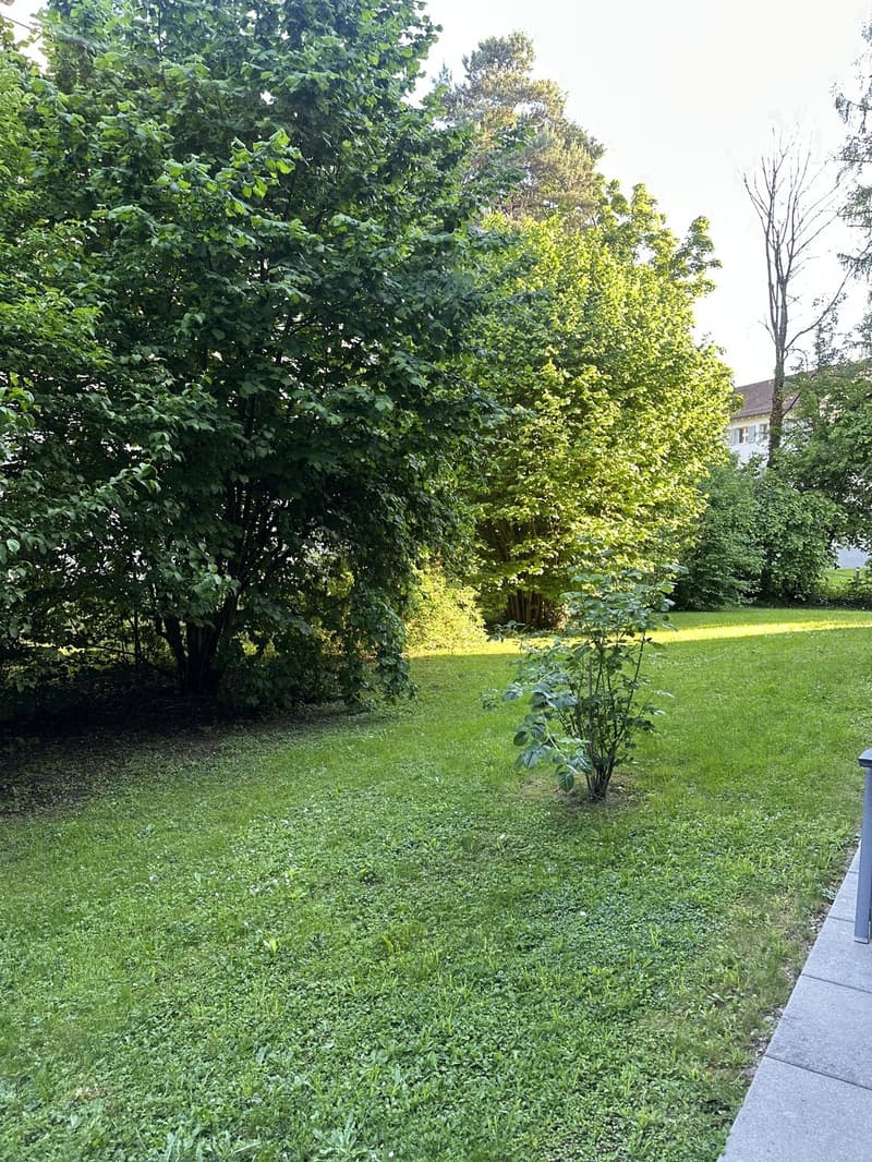 Sunny 2.5 room apartment in district 2 (8)